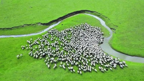 新疆 以環保為基，升級設施與服務，打造高品質旅游新名片