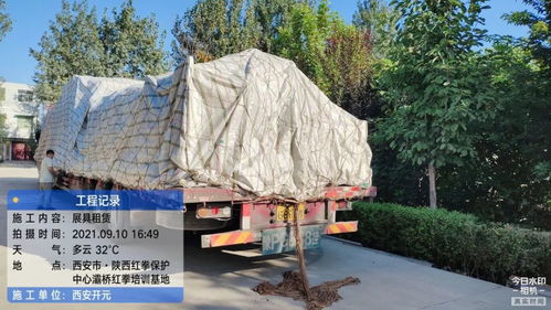 開元展覽 環保展具跨越山海，綠色理念扎根新疆